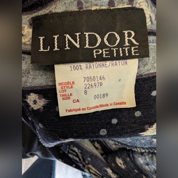 1990s Vintage Whimsigoth Cottagecore Lindor Petites Dress with Capelet - Picture 7 of 9